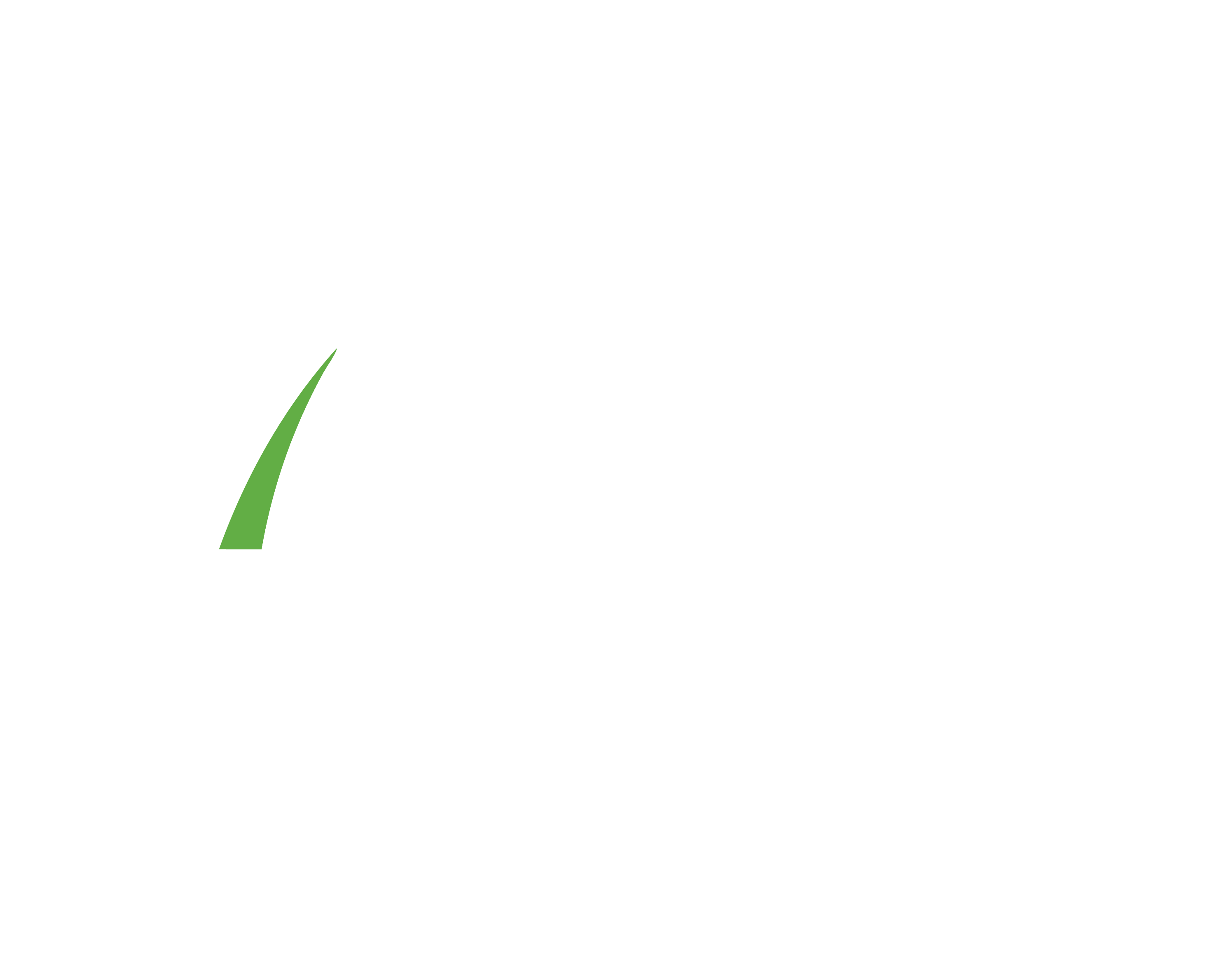 I/O Sports Contractors